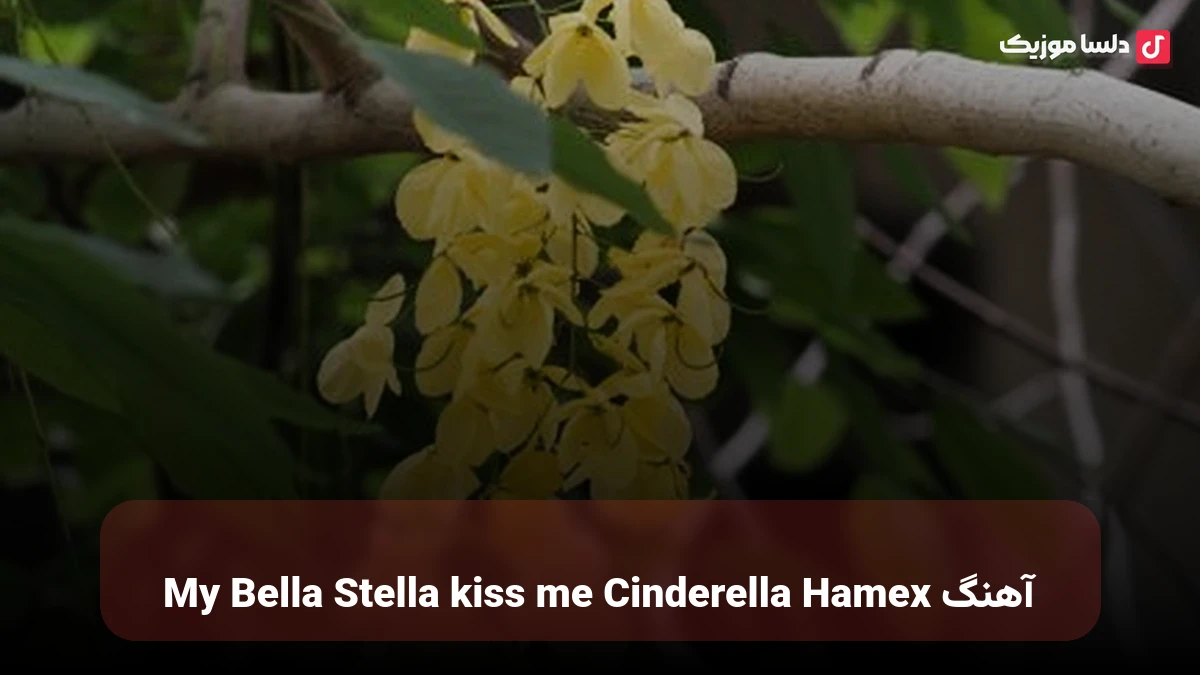 خارجی My Bella Stella kiss me Cinderella Hamex